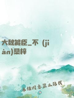 大魏能臣