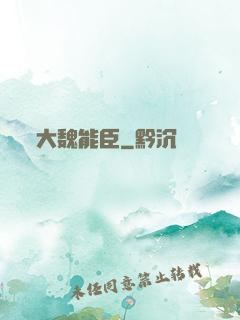 大魏能臣