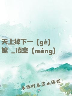 天上掉下一個(gè)媳婦