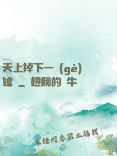 天上掉下一個(gè)媳婦