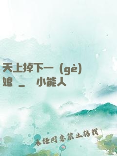 天上掉下一個(gè)媳婦