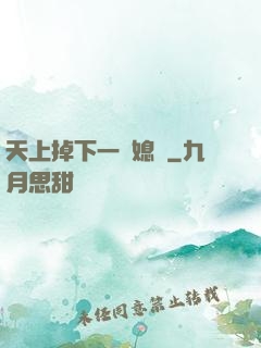 天上掉下一個媳婦