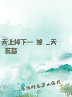 天上掉下一個媳婦