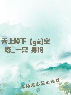 天上掉下個(gè)空間塔