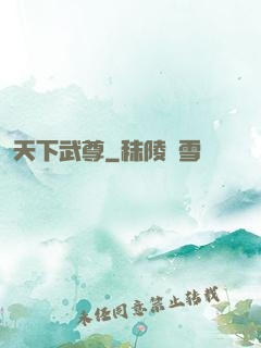 天下武尊