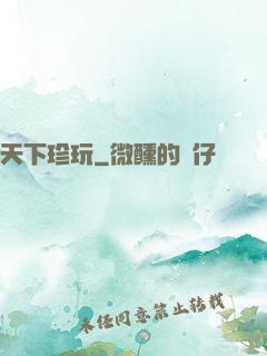 天下珍玩