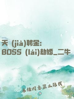 天價(jià)聘金：BOSS來(lái)劫婚