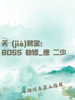 天價(jià)聘金：BOSS來劫婚