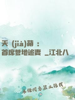 天價(jià)萌寶：首席爹地追妻記
