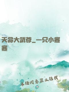 天命大武尊