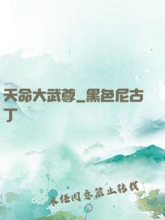 天命大武尊