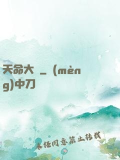 天命大盜