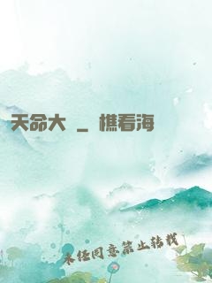 天命大盜