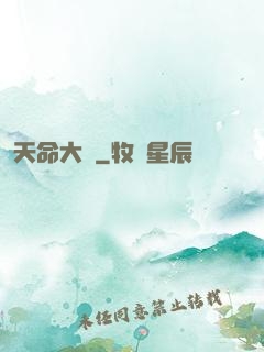 天命大盜