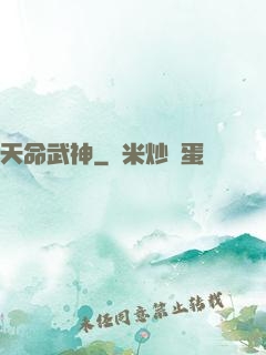 天命武神