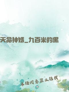 天命神婿