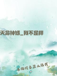 天命神婿