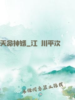天命神婿