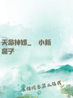天命神婿