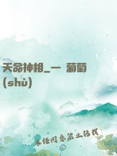 天命神相