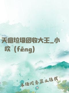 天庭垃圾回收大王