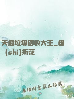 天庭垃圾回收大王