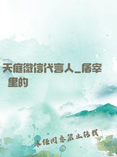 天庭微信代言人