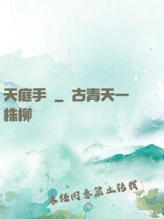 天庭手機