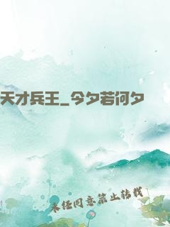 天才兵王
