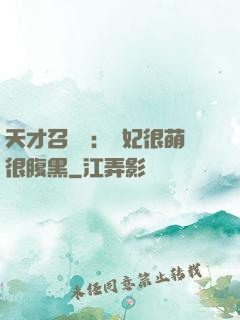 天才召喚師：寵妃很萌很腹黑