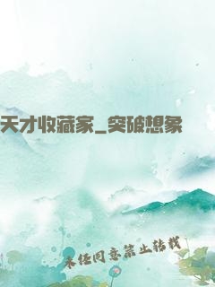 天才收藏家
