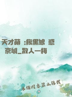 天才萌寶:腹黑娘親惑亂京城