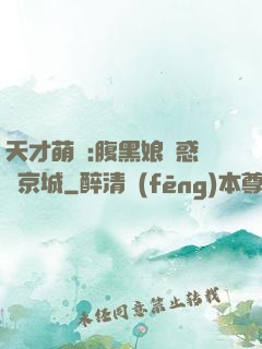 天才萌寶:腹黑娘親惑亂京城