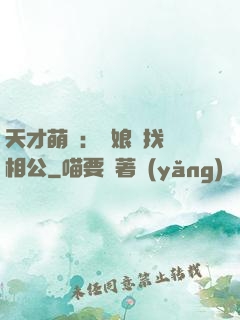 天才萌寶：給娘親找個相公