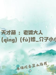 天才萌寶：老婆大人請(qǐng)復(fù)婚