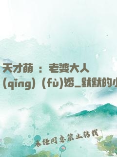 天才萌寶：老婆大人請(qǐng)復(fù)婚