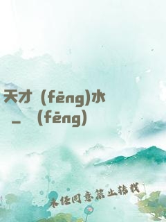 天才風(fēng)水師