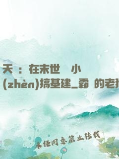 天災：在末世經營小鎮(zhèn)搞基建