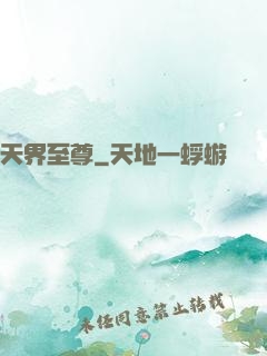 天界至尊