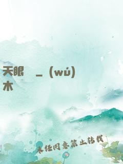 天眼寶鑒