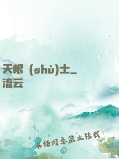 天眼術(shù)士