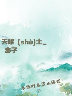 天眼術(shù)士