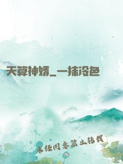 天算神婿
