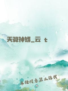 天算神婿