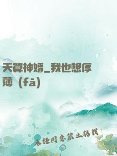 天算神婿
