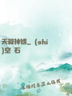 天算神婿