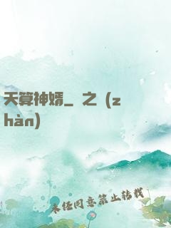 天算神婿