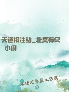天道投注站