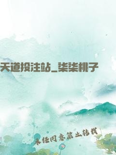 天道投注站