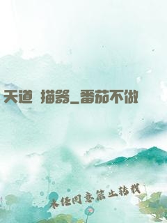 天道掃描器
